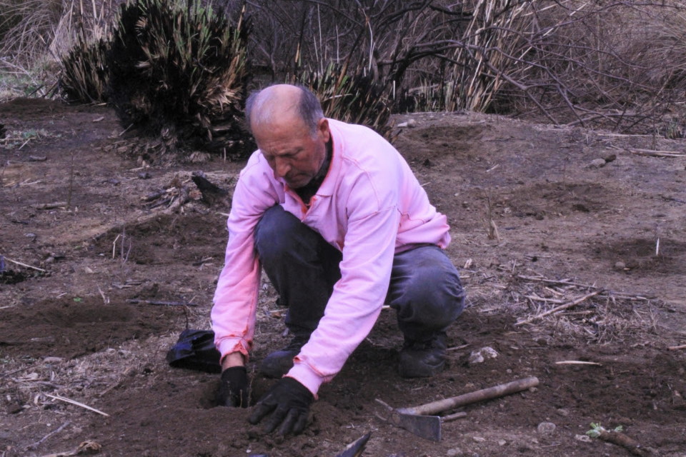 σκλήθρα Άνδρος