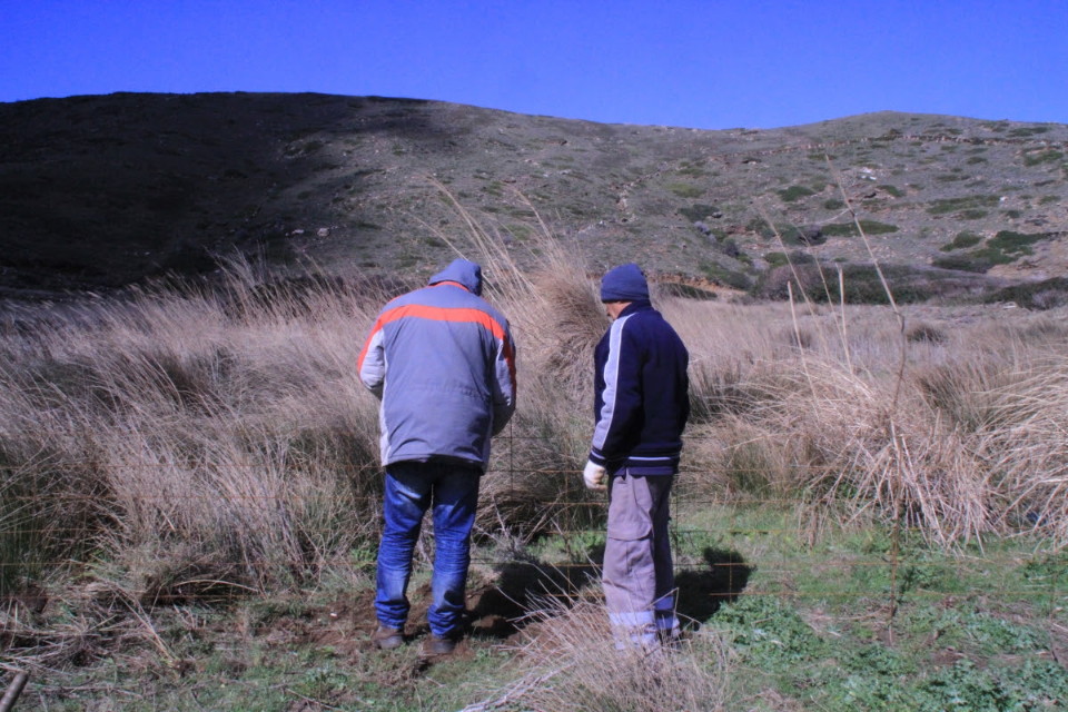 σκλήθρα Άνδρος