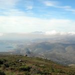 onefootforward 6 2020