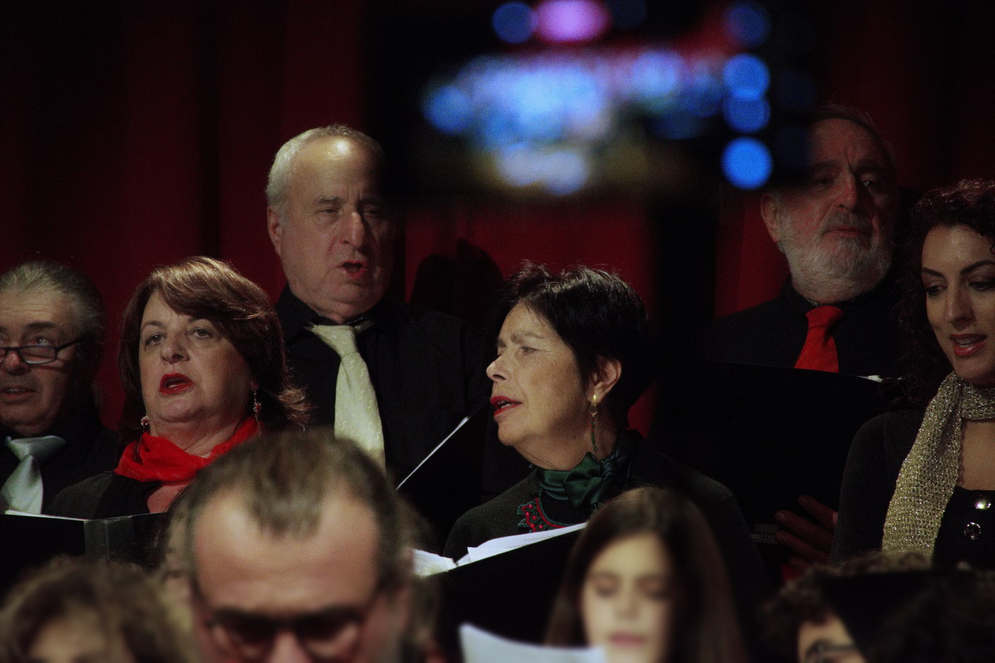 MOYSA xmas 7453 2023