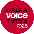 Voice logo