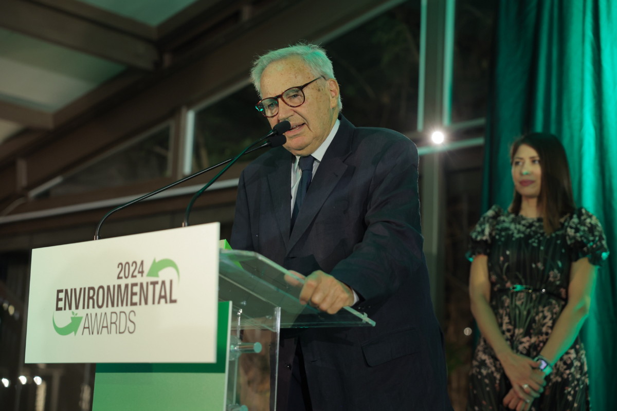 Environmental 2024FF